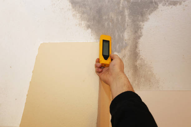 Best Mold-Related Health Consultation  in Penn Farms, PA